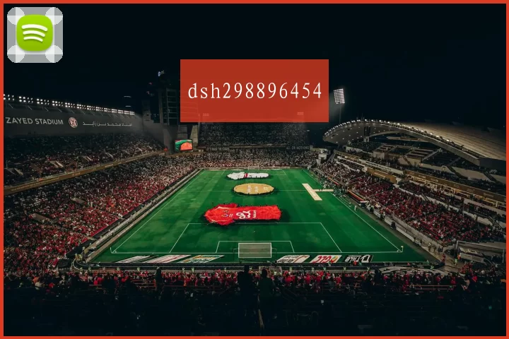 dsh298896454