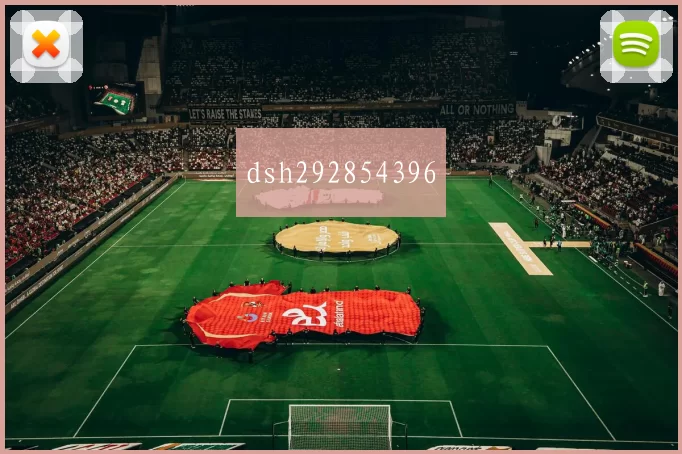 dsh292854396