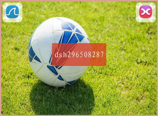 dsh296508287